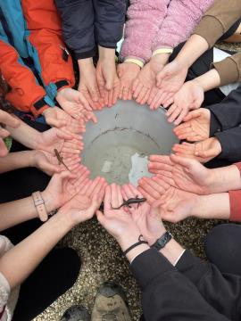 9 Delavnice in vodenja za šole in vrtce v Žabji hiši